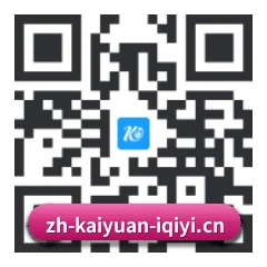 系统版 iOS 二维码